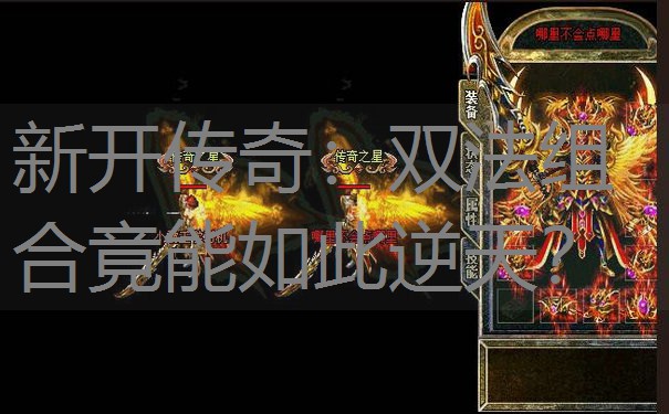新开传奇：双法组合竟能如此逆天？