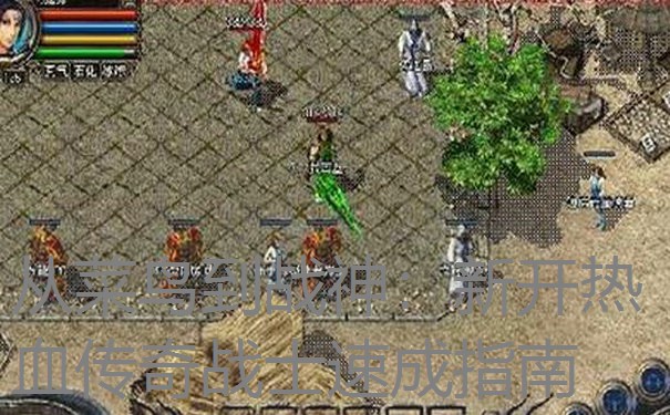 从菜鸟到战神:新开热血传奇战士速成指南 从菜鸟到战神:新开热血传奇战士速成指南