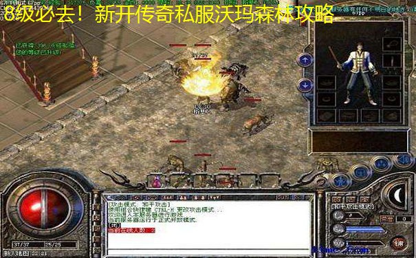 8级必去！新开传奇私服沃玛森林攻略