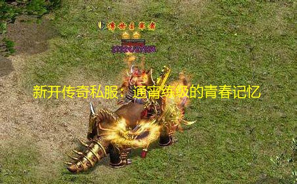 新开传奇私服：通宵练级的青春记忆